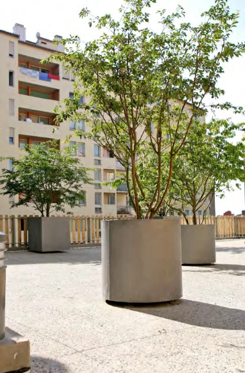 Des cours ombragées — École Dambach-la-Ville